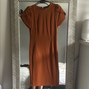 Calvin Klein Brown Sheath Midi Dress with Puff Sleeves